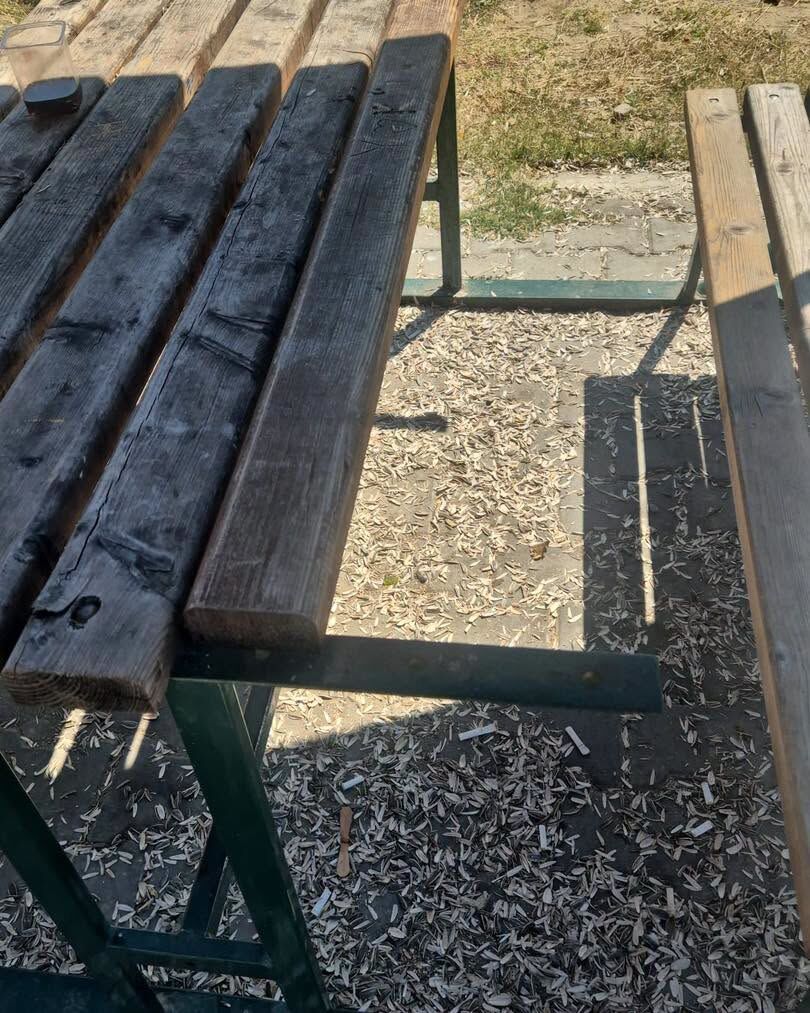Parkları Kirletenlere Başkan’dan Sert Uyarı! (3)