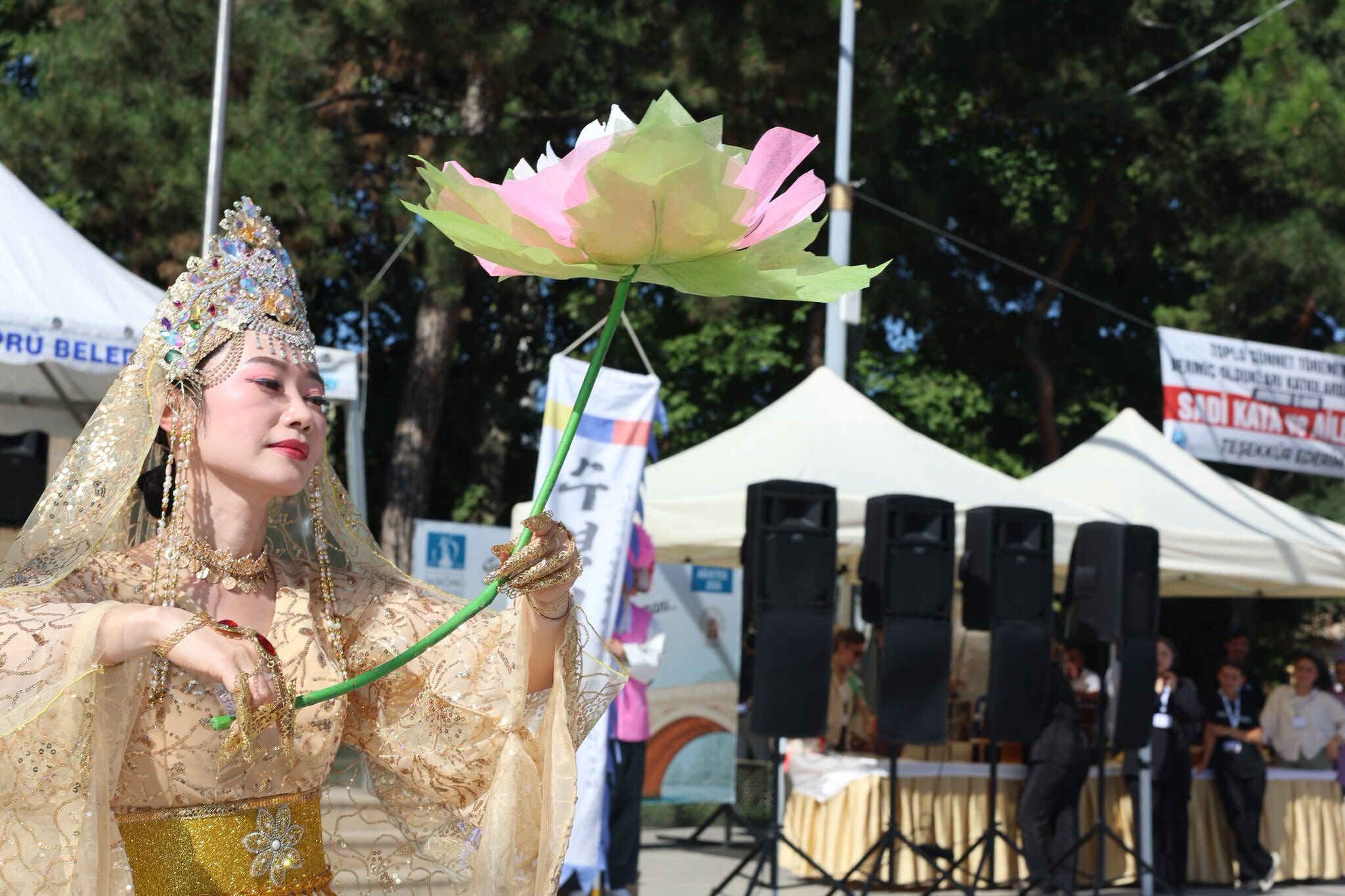 Taşköprü’de Kültürler Buluştu, Festivalin Güzelleri Seçildi (3)