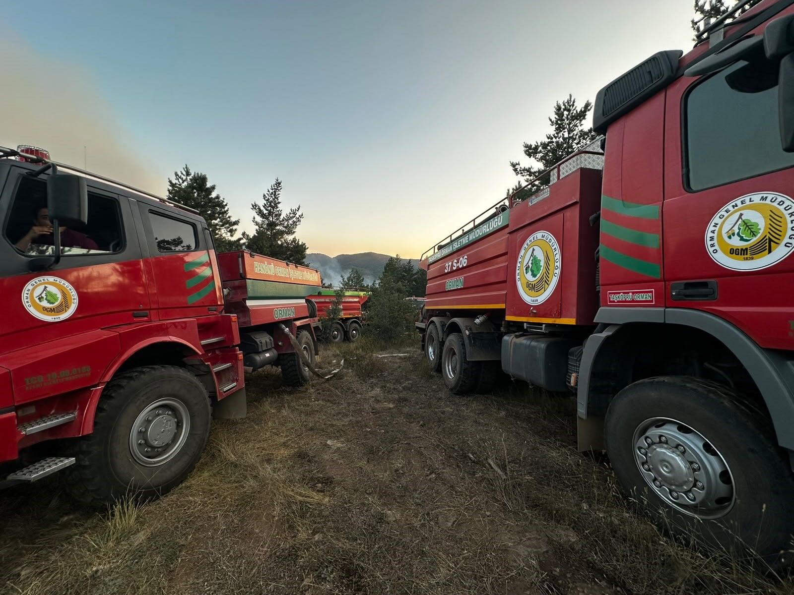 Taşköprü'deki Orman Yangınına Müdahale Devam Ediyor (4)