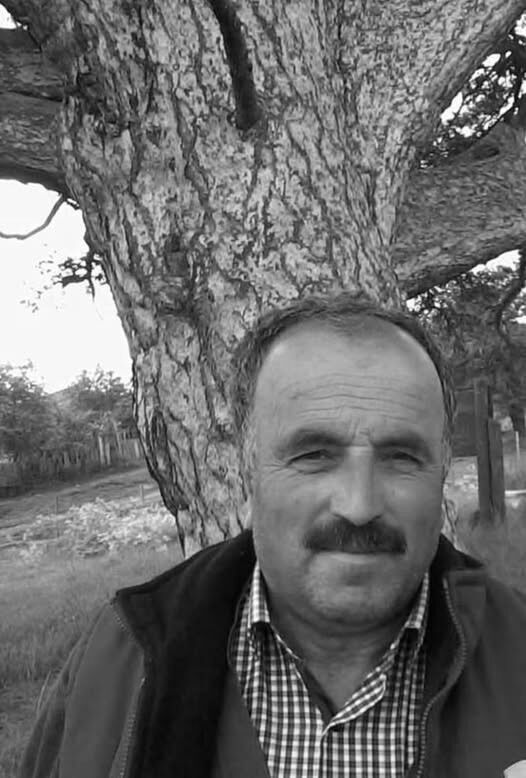 Uzerine Agac Devrildi, Hayatını Kaybetti