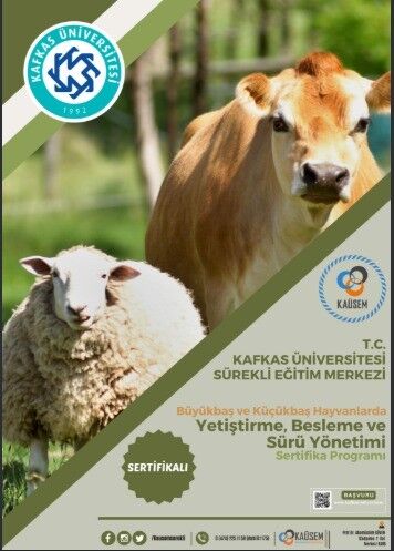 En Evlası “Sürü Yöneticisi” Olmak (1)