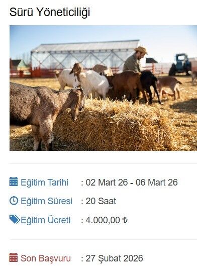 En Evlası “Sürü Yöneticisi” Olmak (3)