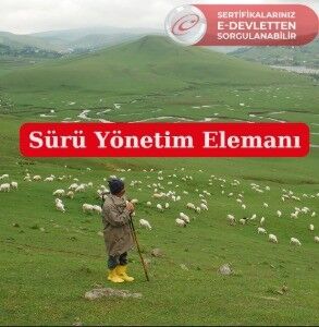 En Evlası “Sürü Yöneticisi” Olmak (4)