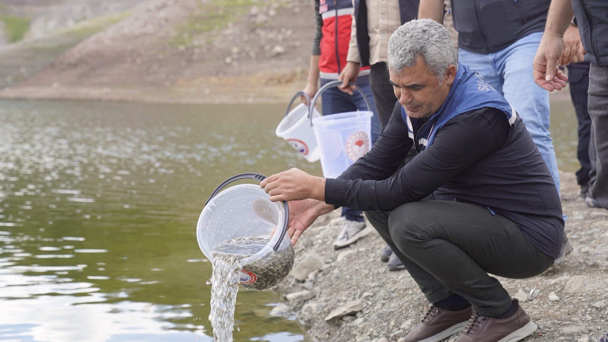 Kastamonu Sularına 800 Bin Sazan Bırakıldı (1)