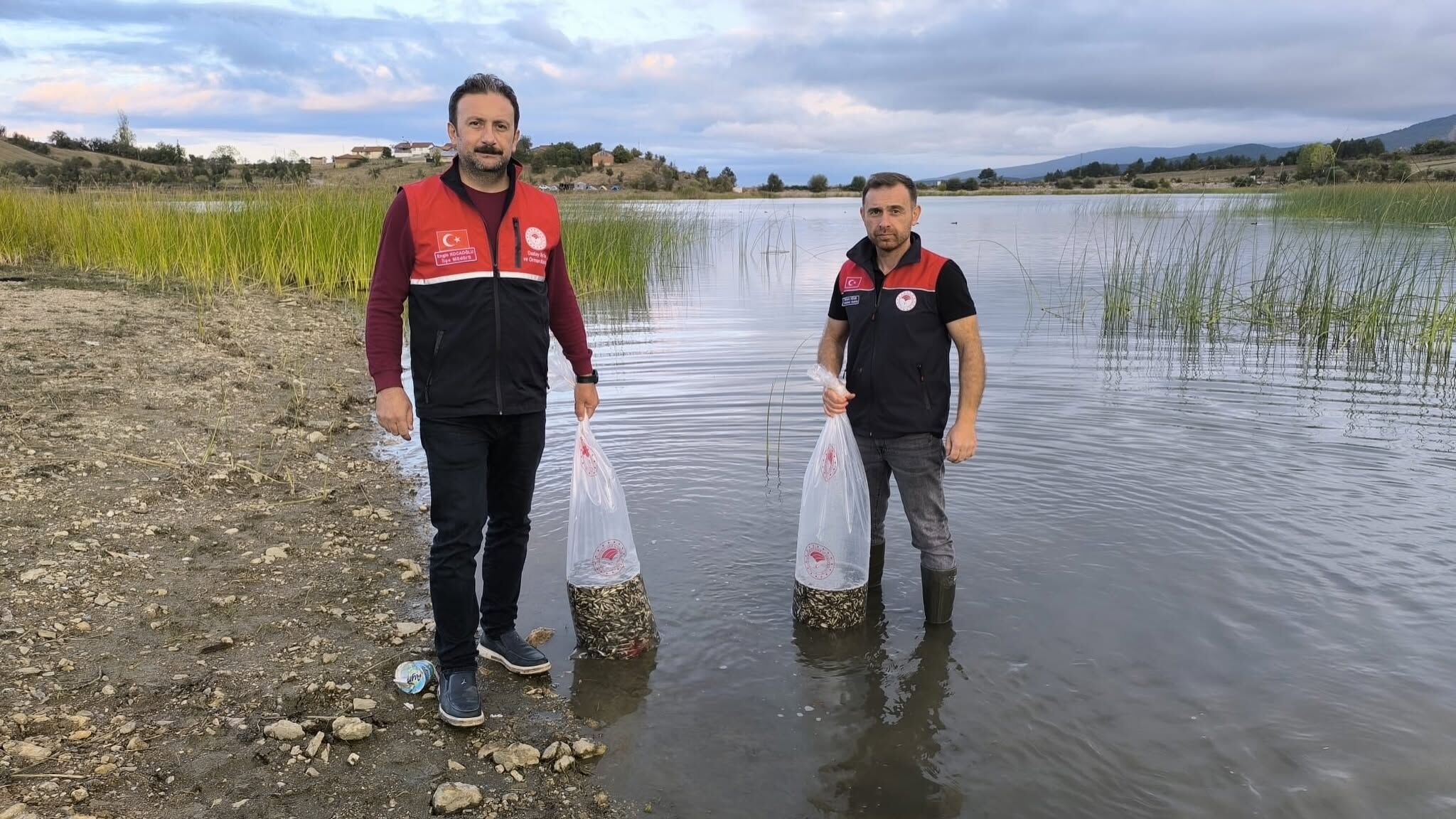 Kastamonu Sularına 800 Bin Sazan Bırakıldı (2)