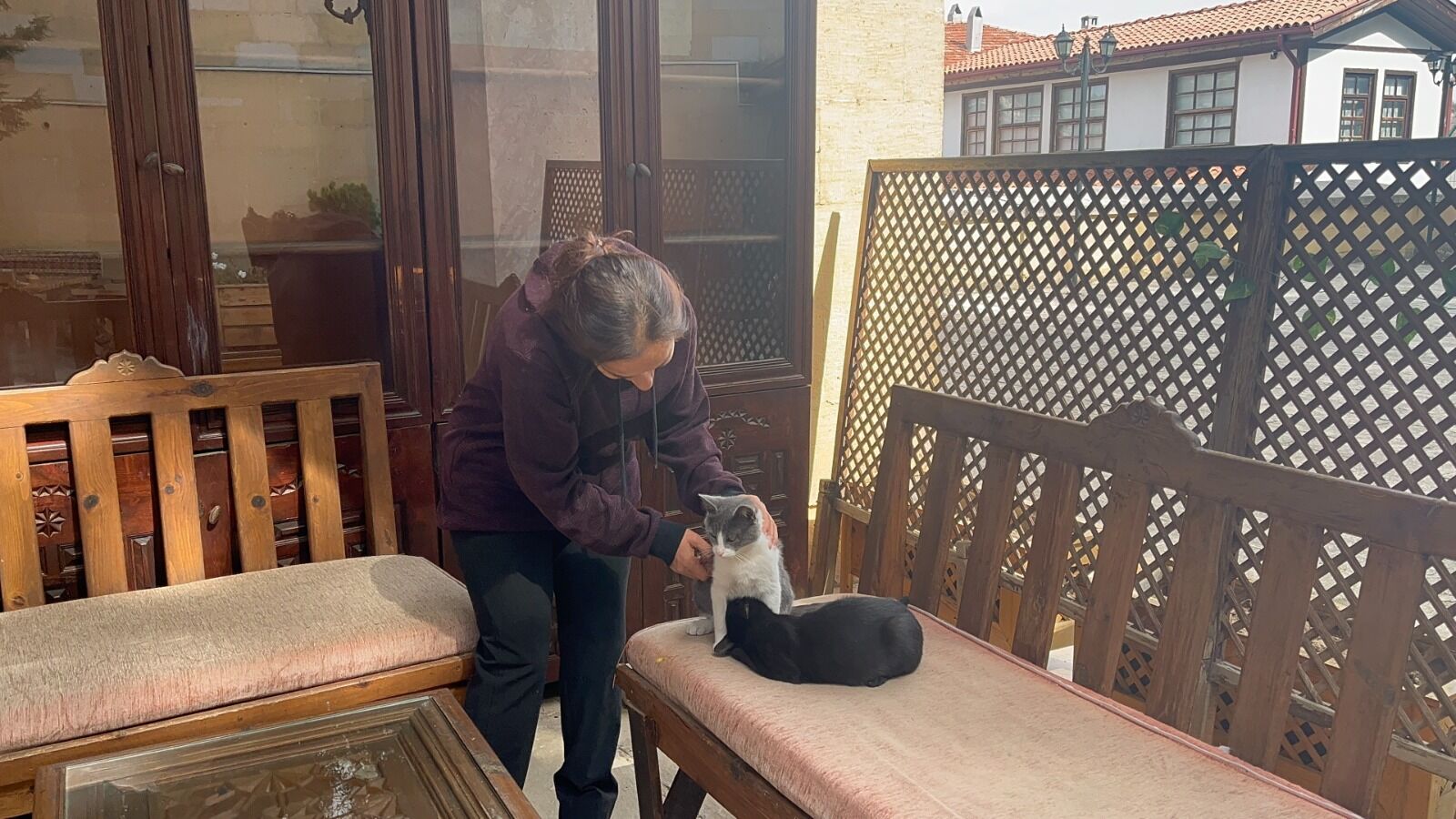 Kastamonu'da Ilginç Olay Kardeşini Annesi Sanan Kedi Ilgi Odağı Oldu (3)