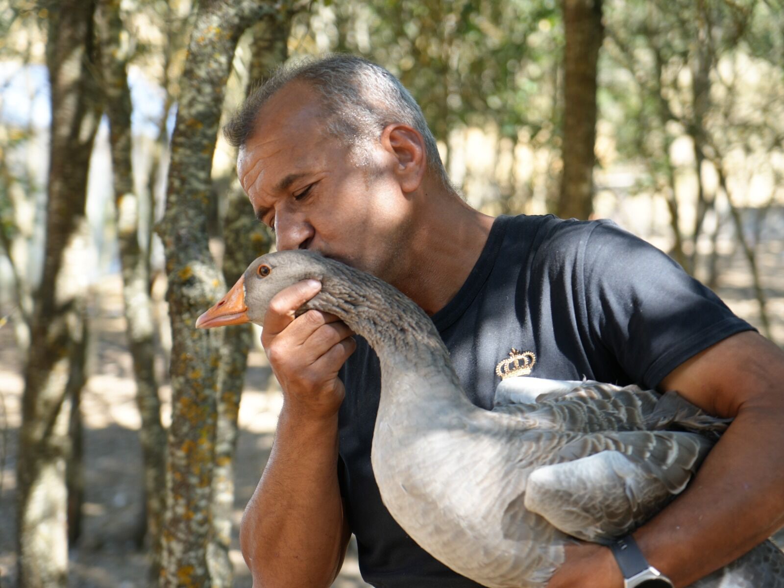 Kastamonu'da Kaz Çiftliği Kurdu Kars'a Bile Kaz Gönderiyor