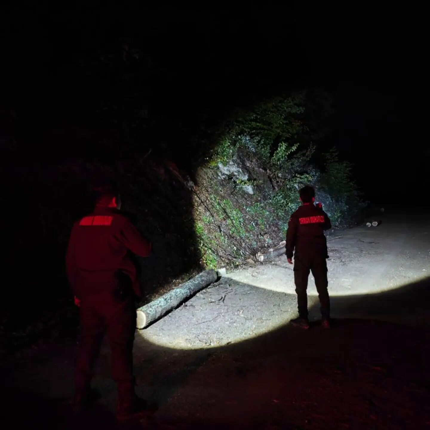 Kastamonuda Ormanlar Gece Gunduz Korunuyor (2)