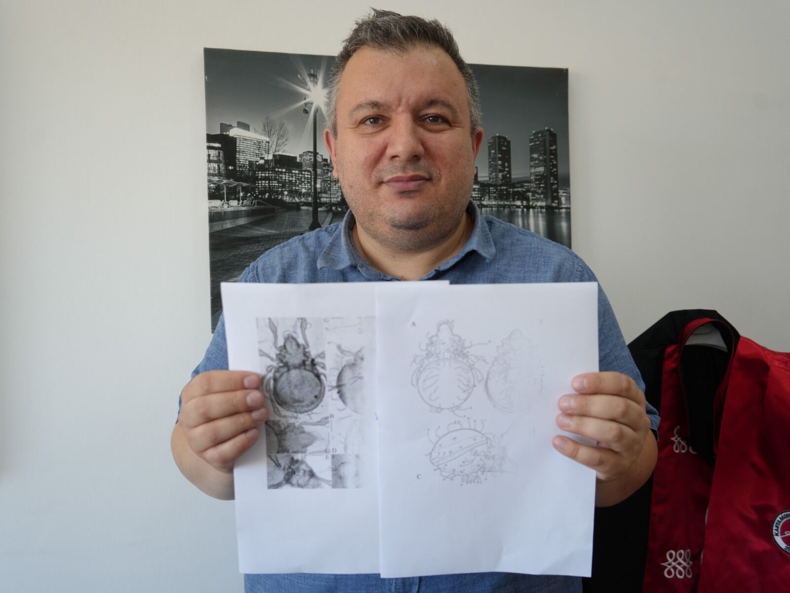 Kastamonu'dan Dünya Literatürüne Yeni Akar Türü Tescillendi (4)