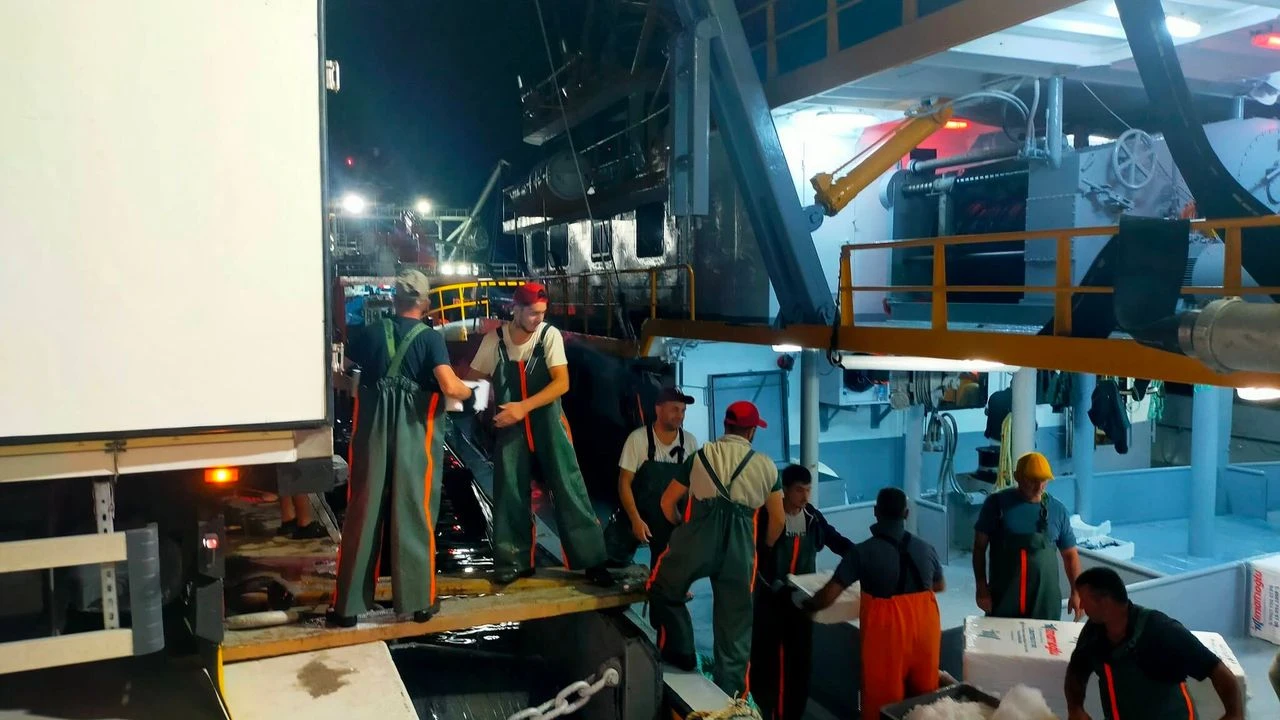 Palamutla Dönen Tekneler İnebolu Limanı’nı Hareketlendirdi (1)