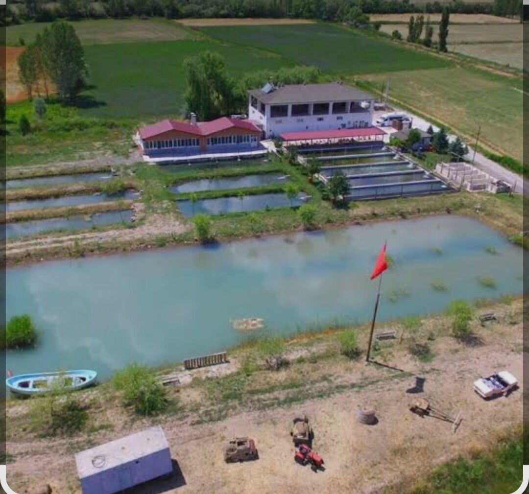 Sinop Birinci Kastamonu Kaçıncı (2)