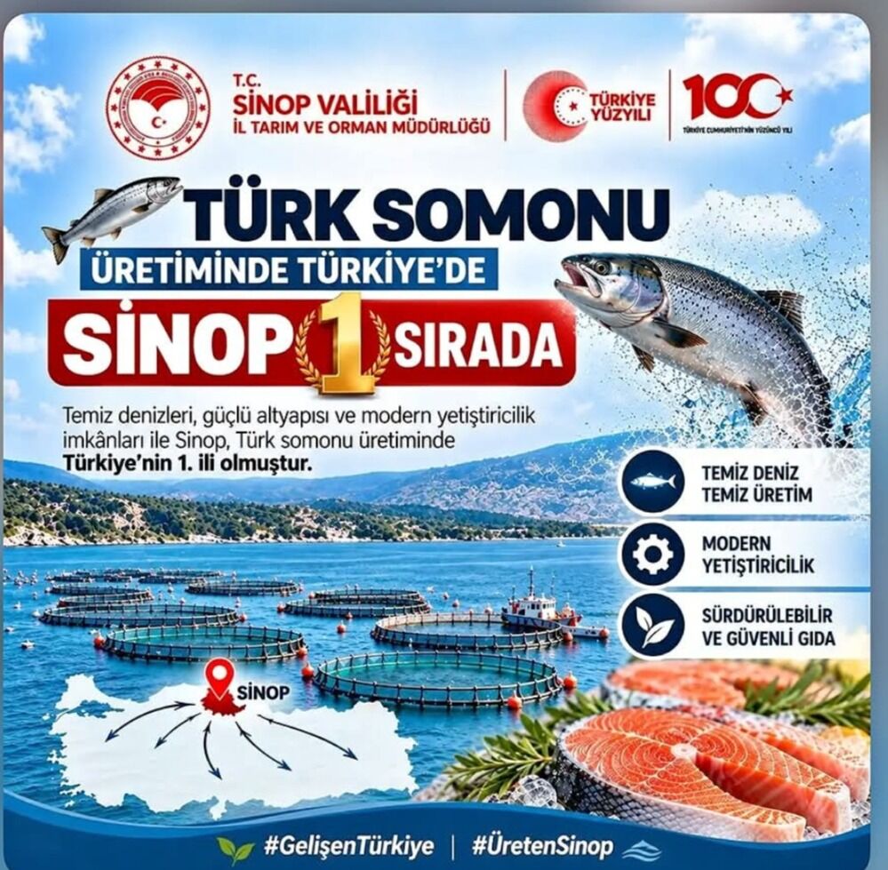 Sinop Birinci Kastamonu Kaçıncı (4)