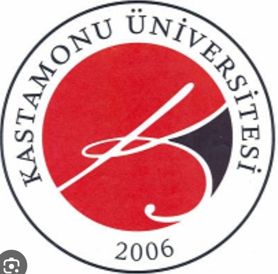 Afacan Kose Kastamonu Neden Gelismedi (1)