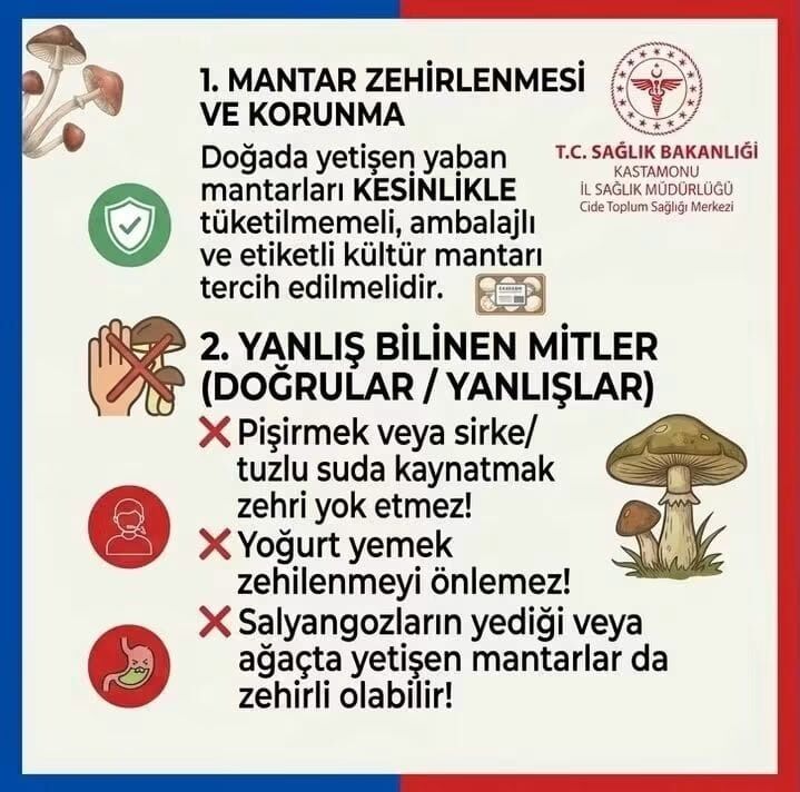 Cide Tsm Uyardı Mantar Şakaya Gelmez! (1)