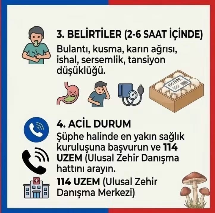 Cide Tsm Uyardı Mantar Şakaya Gelmez! (2)