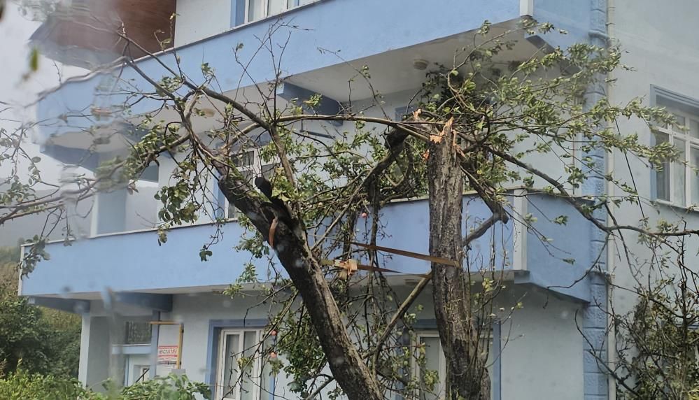 Cide’de Rüzgârın Şakası Yok1