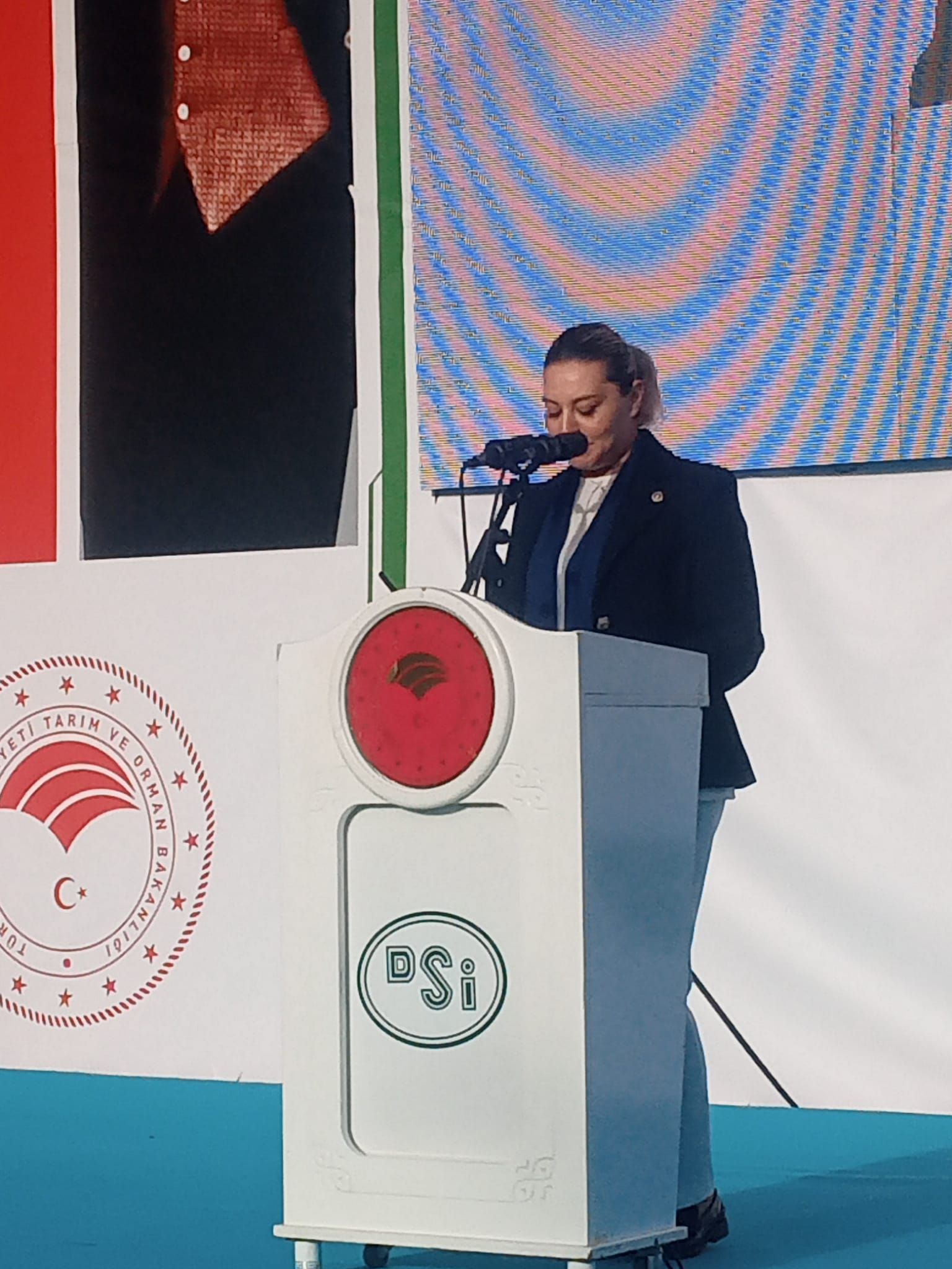 Dsi Kastamonu Acilisi (1)