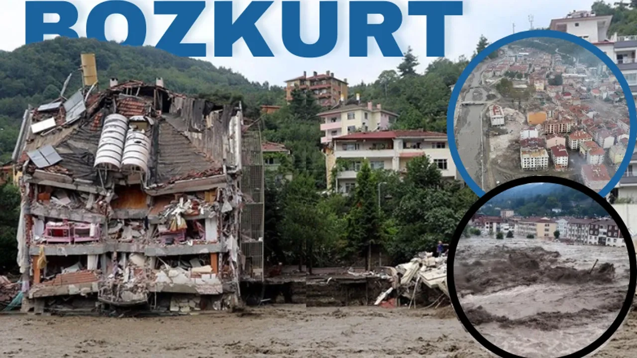 bozkurt sel-1