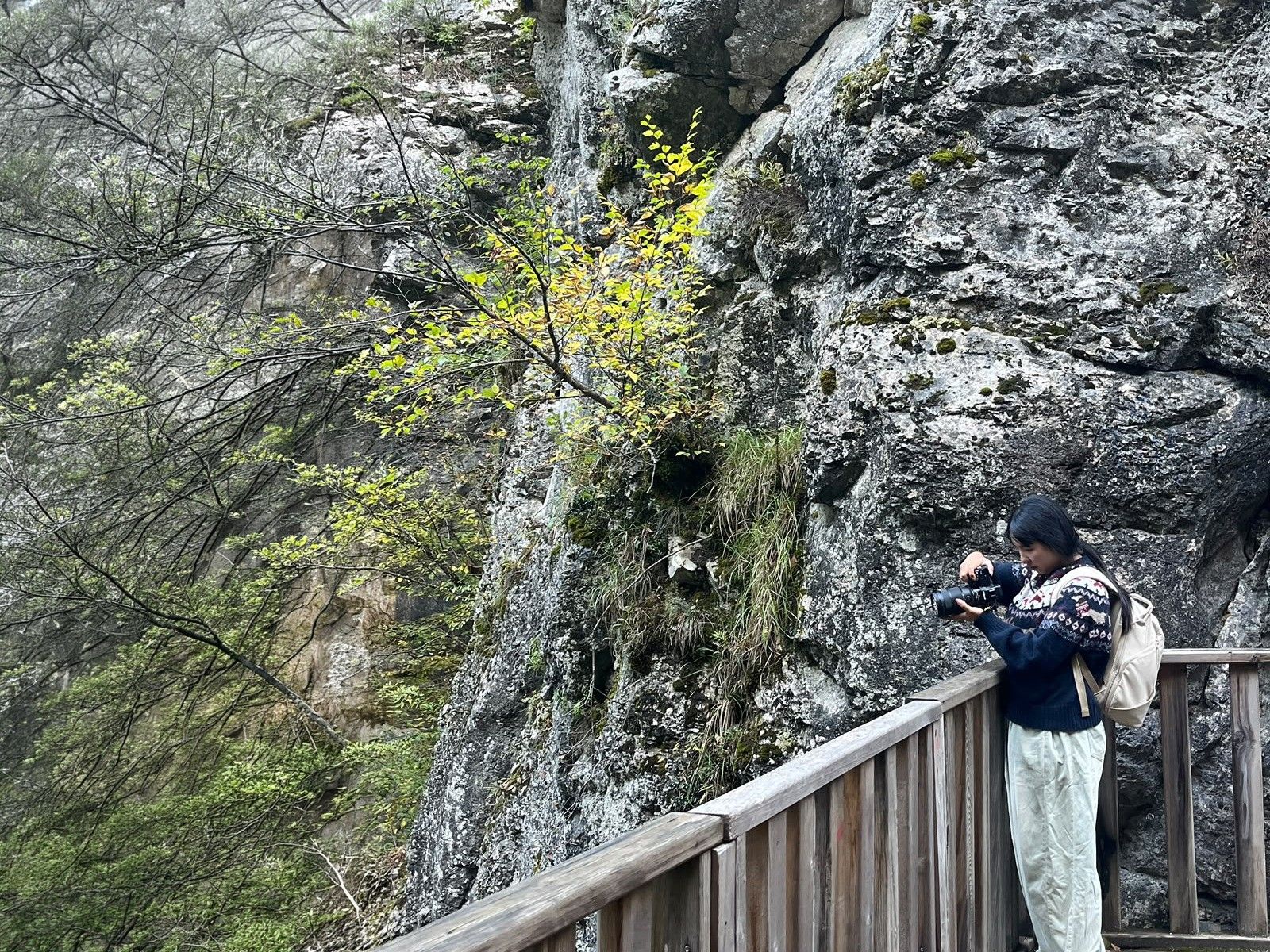Güney Koreli Sosyal Medya Üreticileri Kastamonu’da (3)