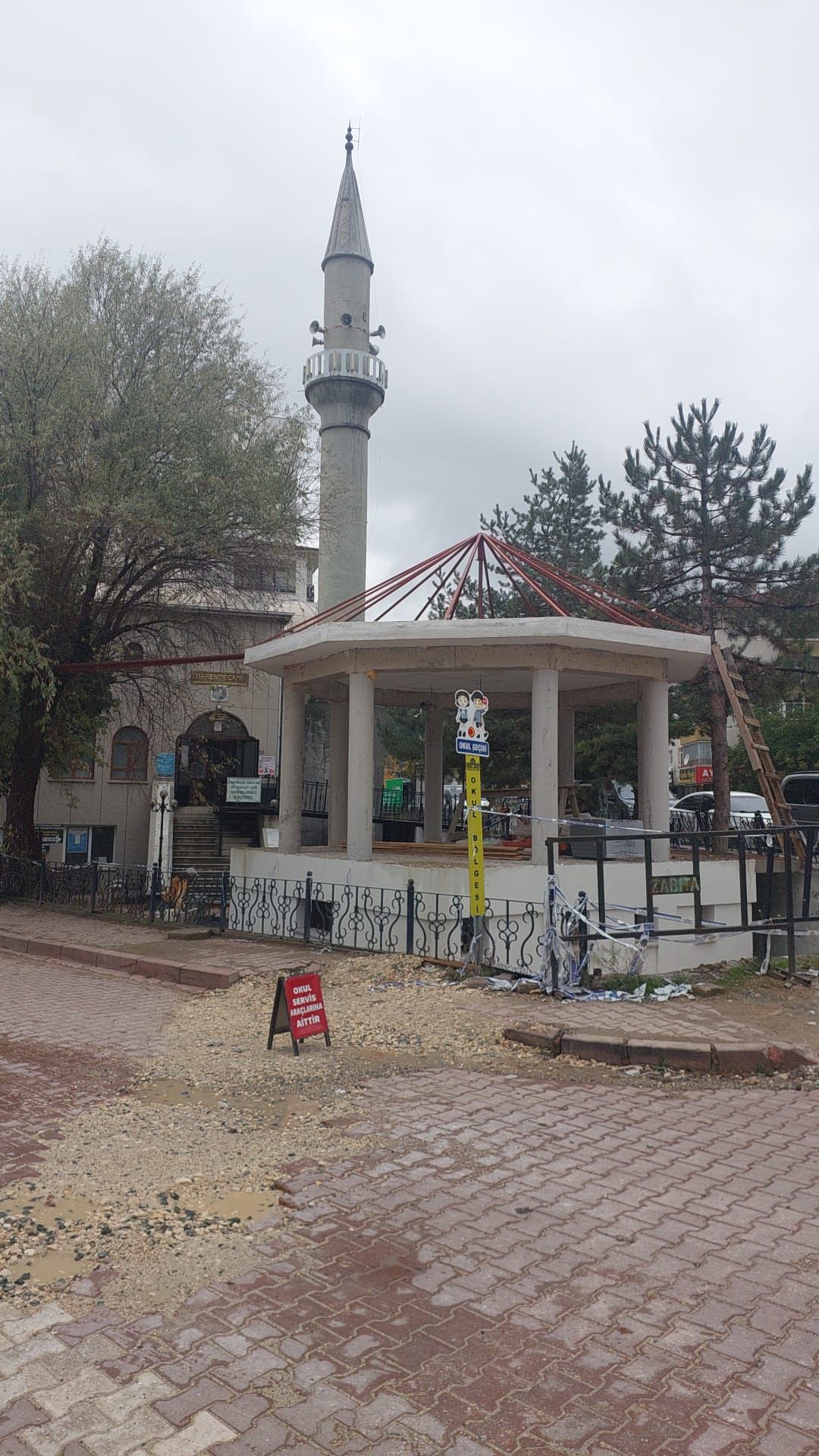 I M G 20261016 W A0004