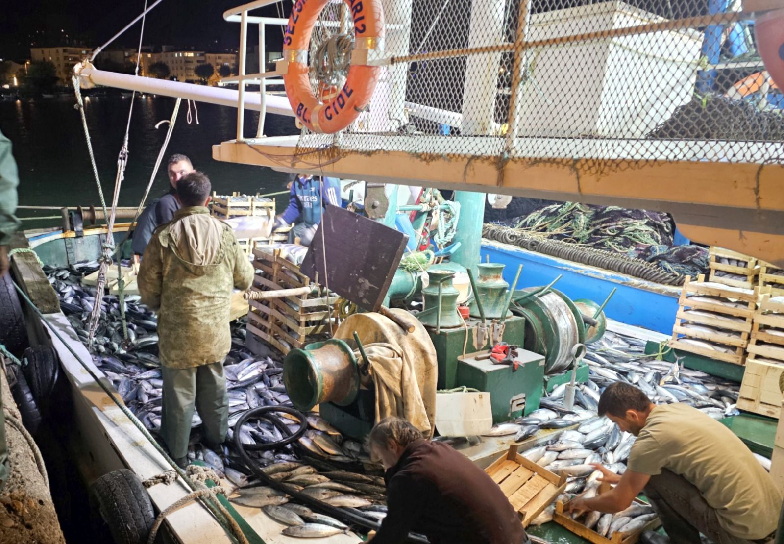 Karadeniz’de Palamut Bereketi Tanesi 40 Liraya Düştü (2)