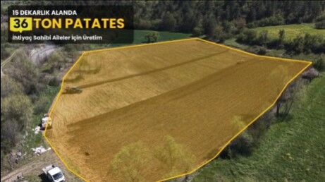 Kastamonu Belediyesinden Ailelere 36 Ton Patates Desteği