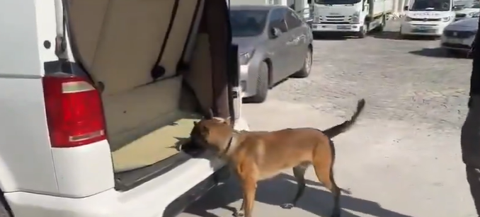 Kastamonu Dahil 69 Ilde