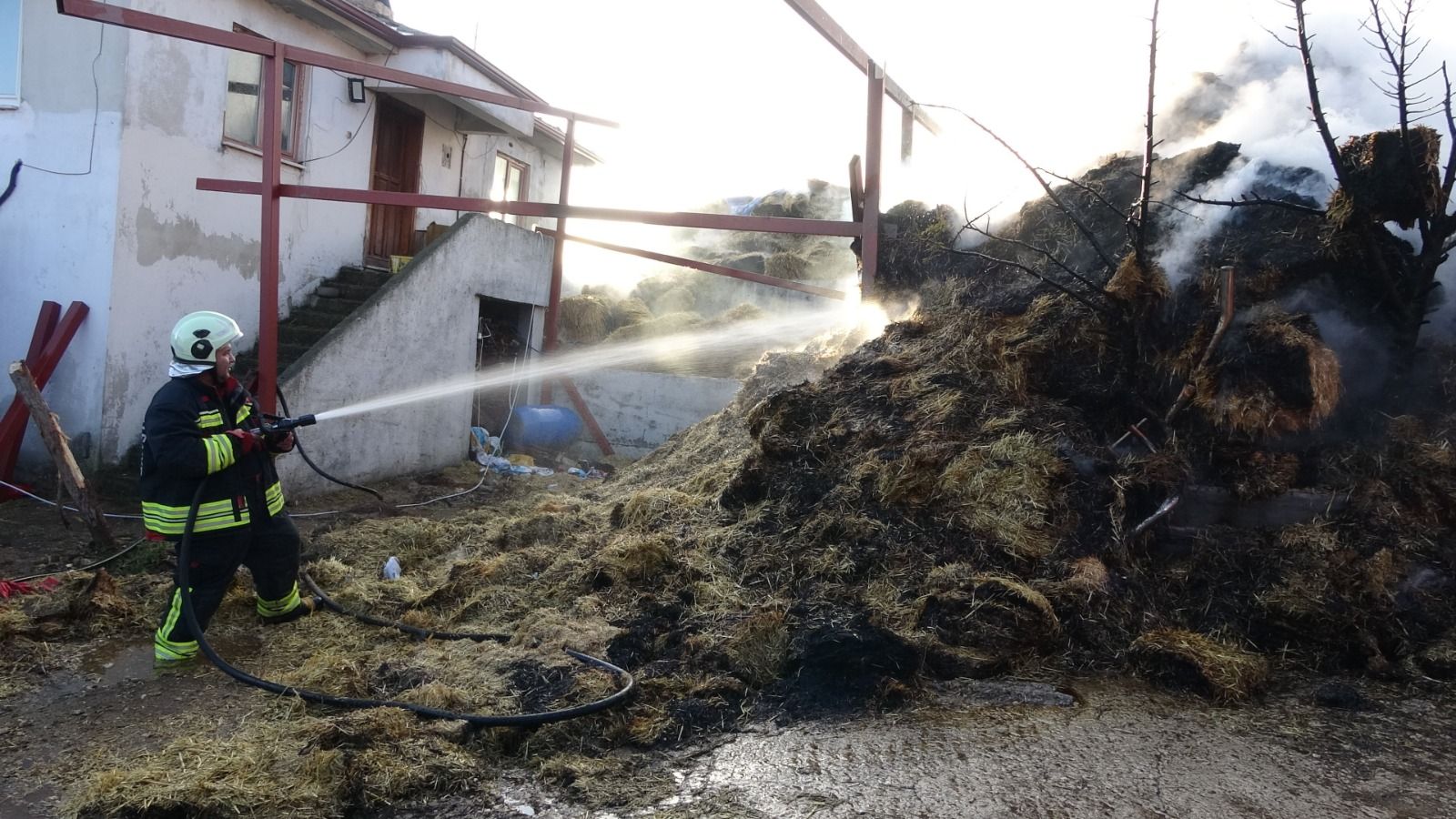 Kastamonu’da Alevler 8 Bin Balyayı Yuttu (2)