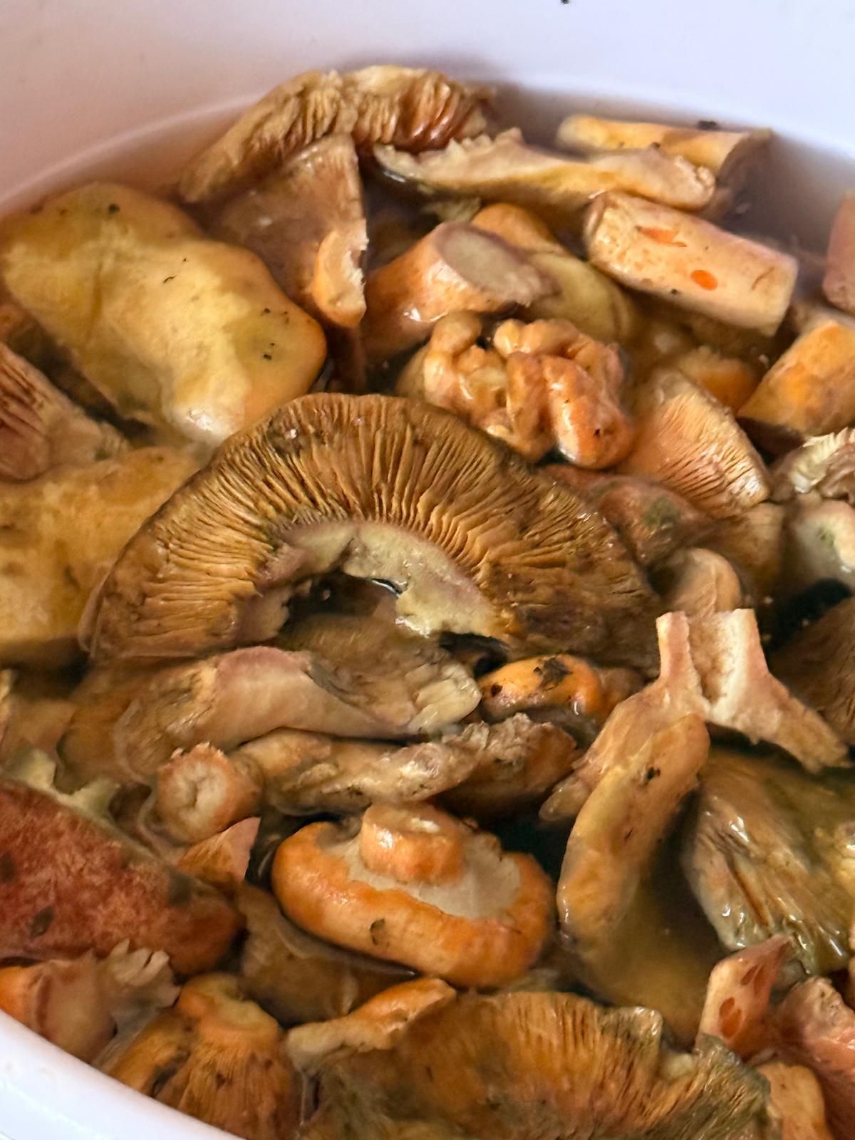 Kastamonu’da Doğanın Bereketi Pazara Indi4