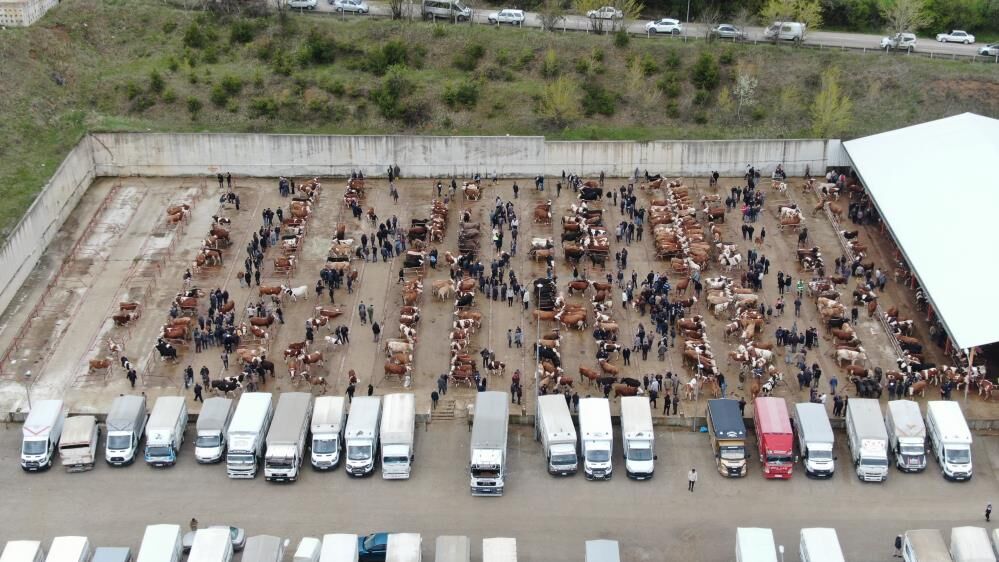 Kastamonu’da Hayvan Pazarları Süresiz Kapatıldı1