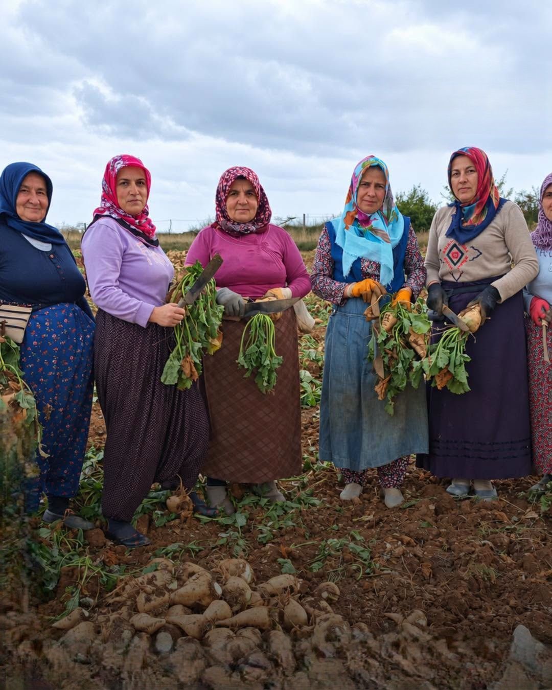 Kastamonu’da Kadın Emekçiler Pancar Hasadına Başladı