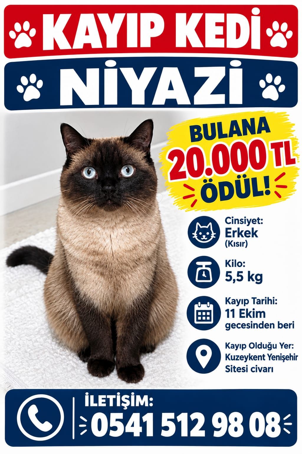 Kastamonu’da Kayıp Kedi Için 20 Bin Lira Ödül (2)