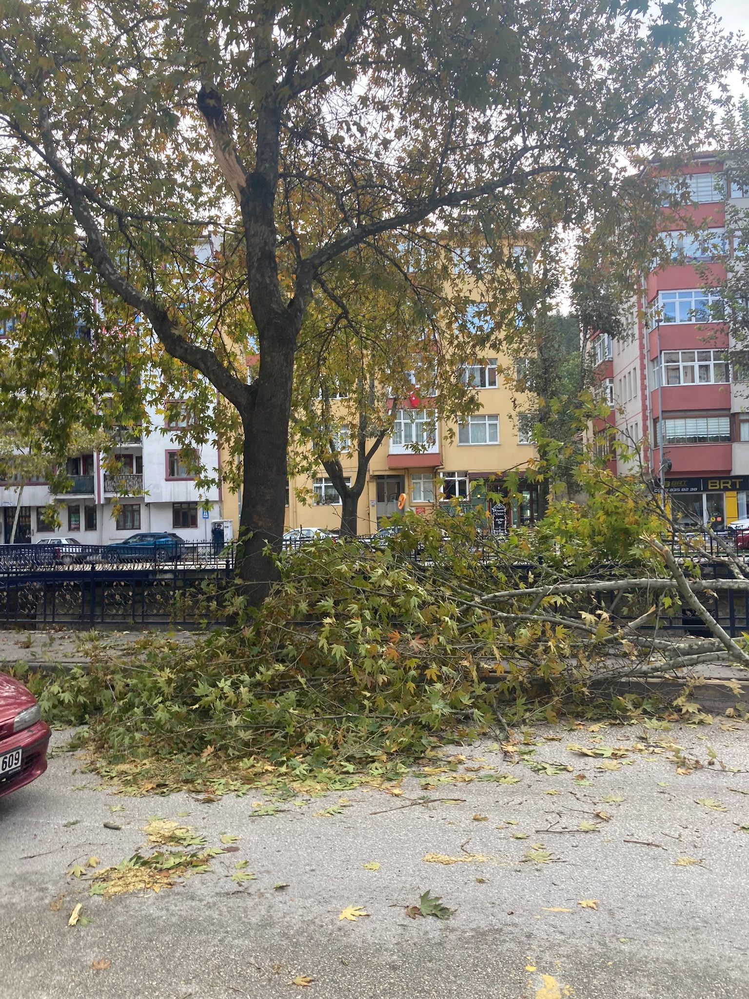 Kastamonu’da Rüzgâr Ağacı Ikiye Böldü