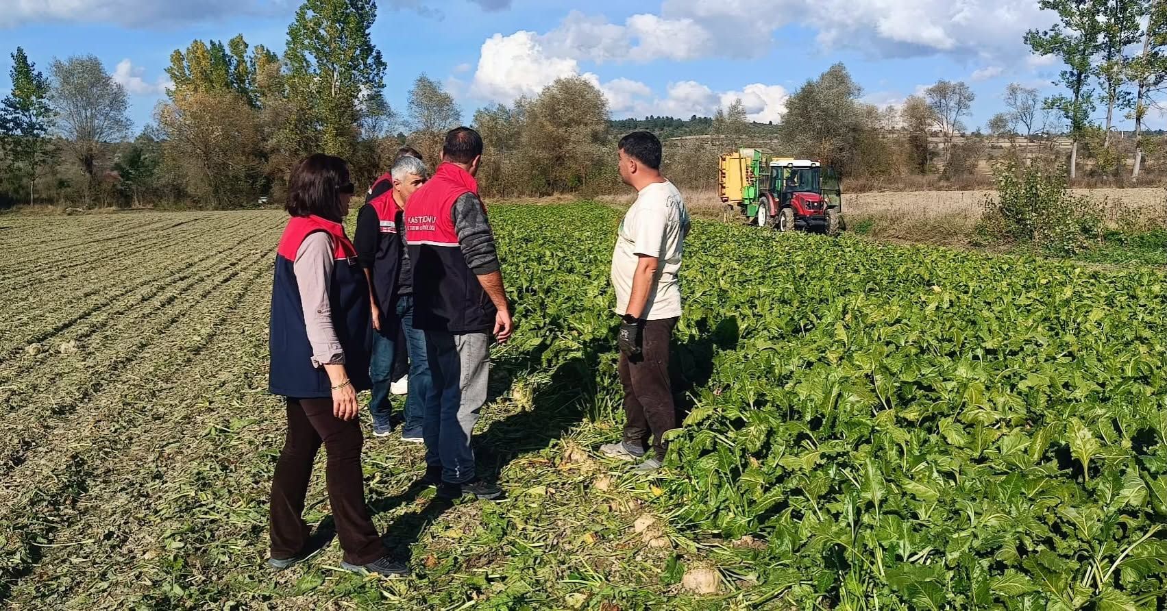 Kastamonu’da Şeker Pancarı Hasadı Başladı (1)