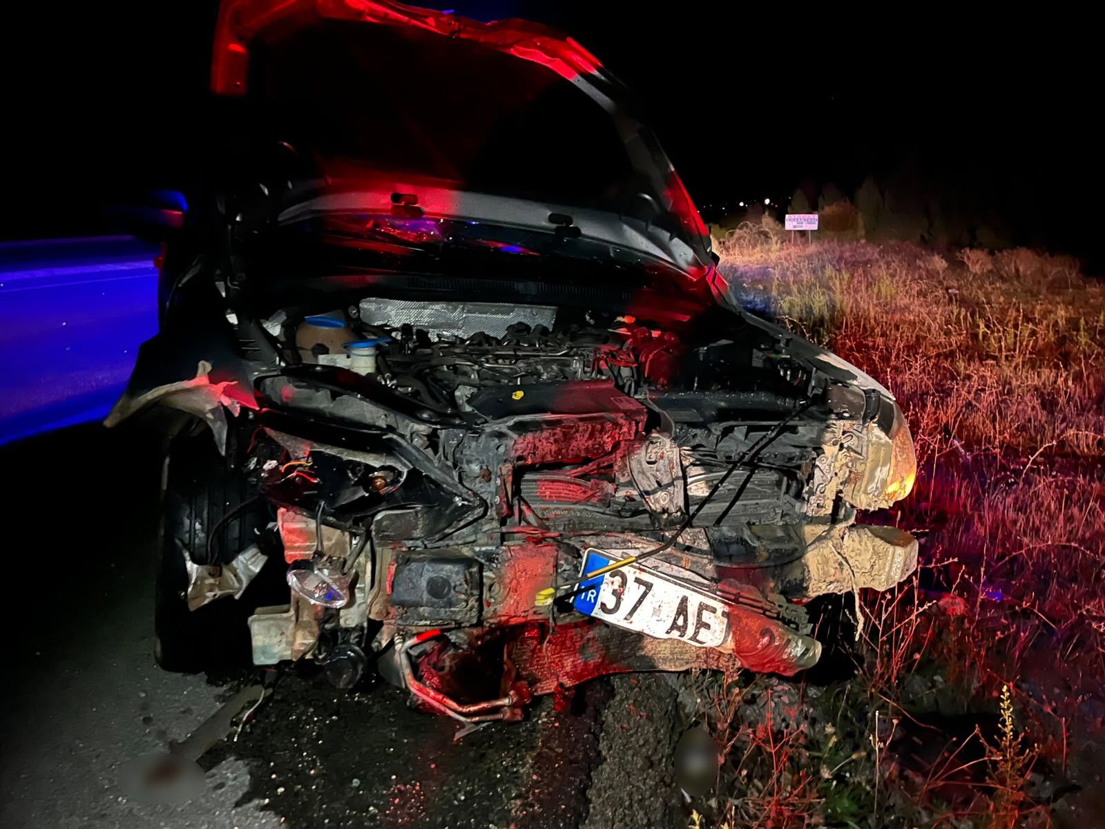 Kastamonu’da Yola Çıkan Domuz Sürüsü Kazaya Neden Oldu (1)