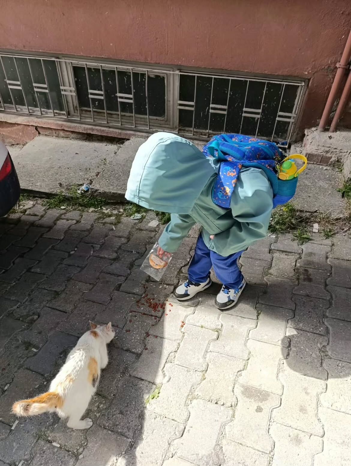 Minik Kalpler Sokak Hayvanları Için Harekete Geçti