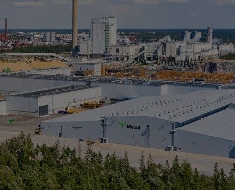 Ormanda “Fin” Modeli (1)