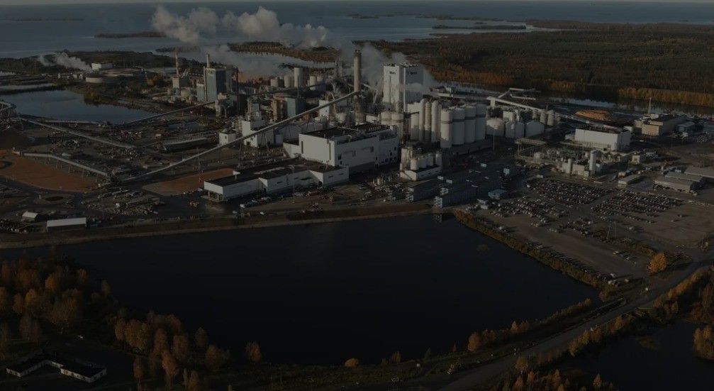 Ormanda “Fin” Modeli (4)
