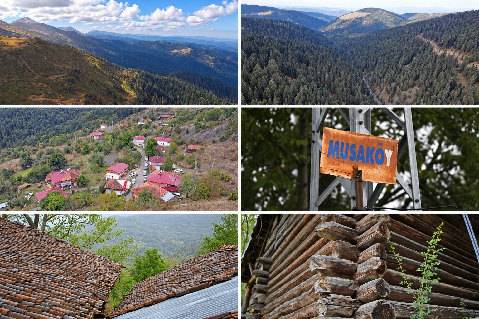 Tosya Ilgazında Bir Anıt Ağaç, Bir Ahlât Ve İki Muhtar (2)