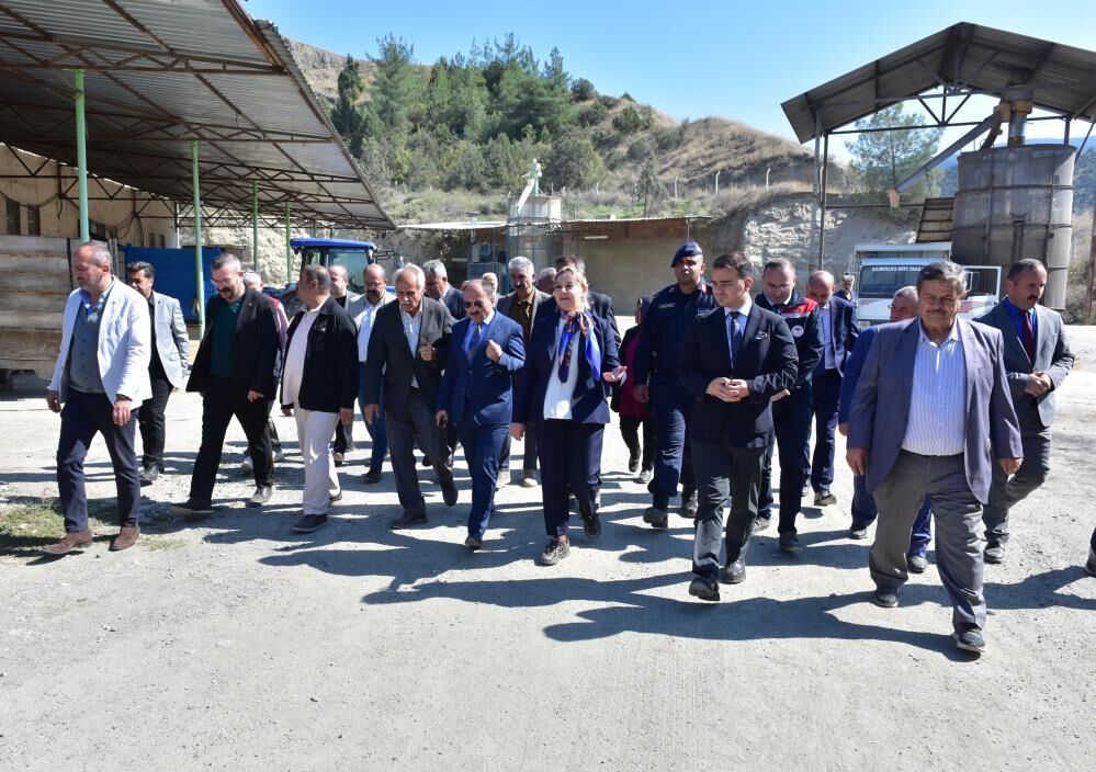 Tosya Pirincinde Hasat Bereketi Başladı4