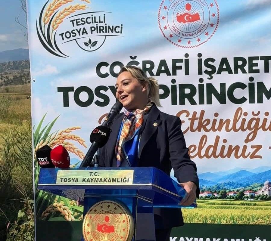Vekil Ekmekci, Tosya’da Çeltik Hasadını Yerinde Takip Etti (1)