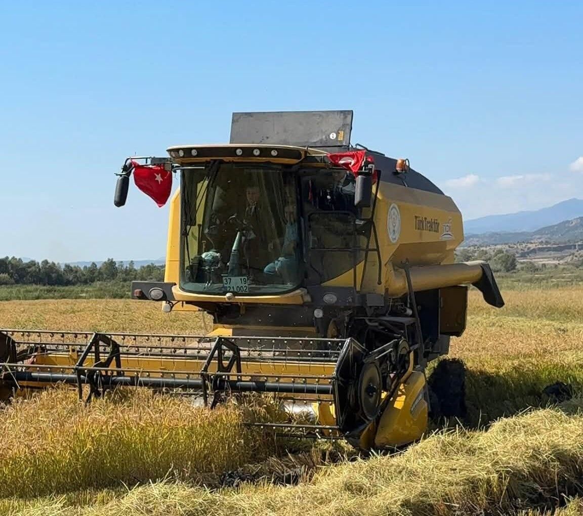 Vekil Ekmekci, Tosya’da Çeltik Hasadını Yerinde Takip Etti (4)
